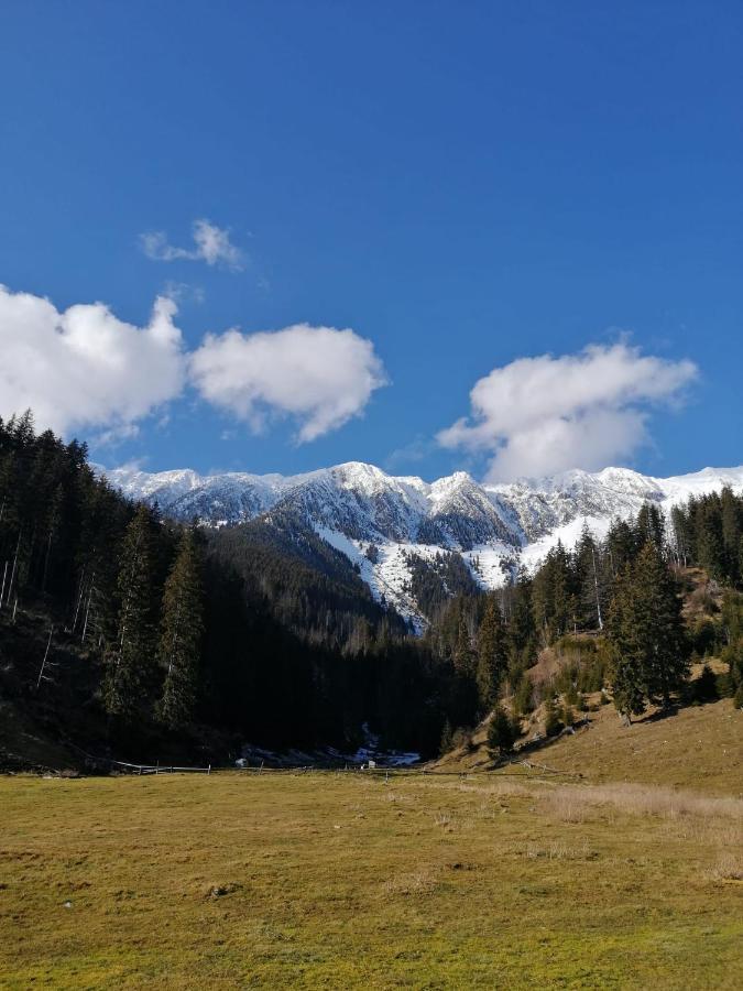 Pensiunea Crai Nou Şirnea Exteriör bild