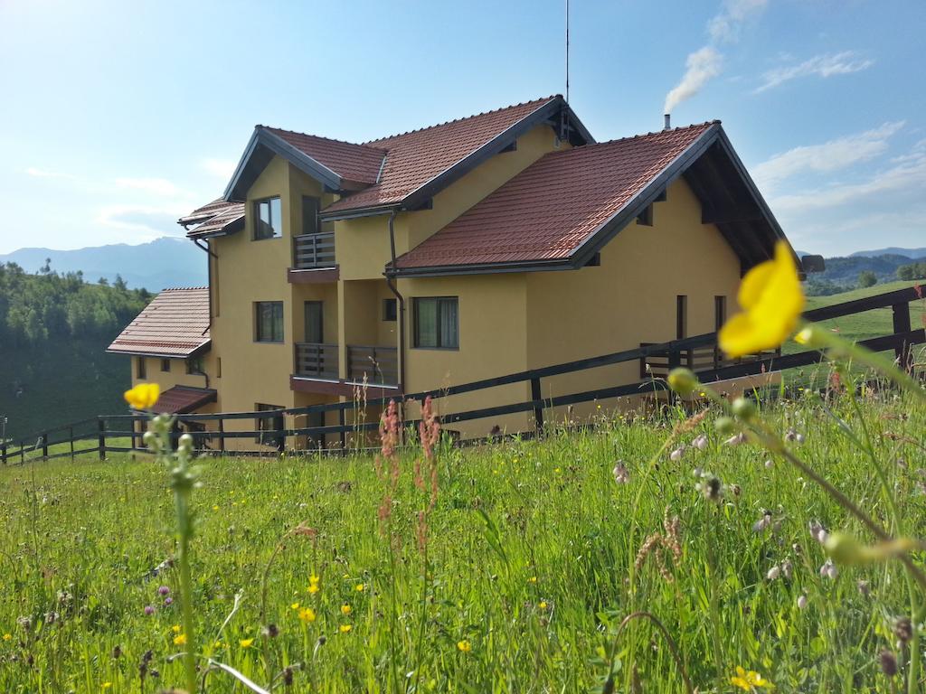 Pensiunea Crai Nou Şirnea Exteriör bild
